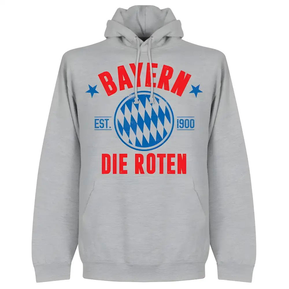 Bayern Established Hoodie - Grey