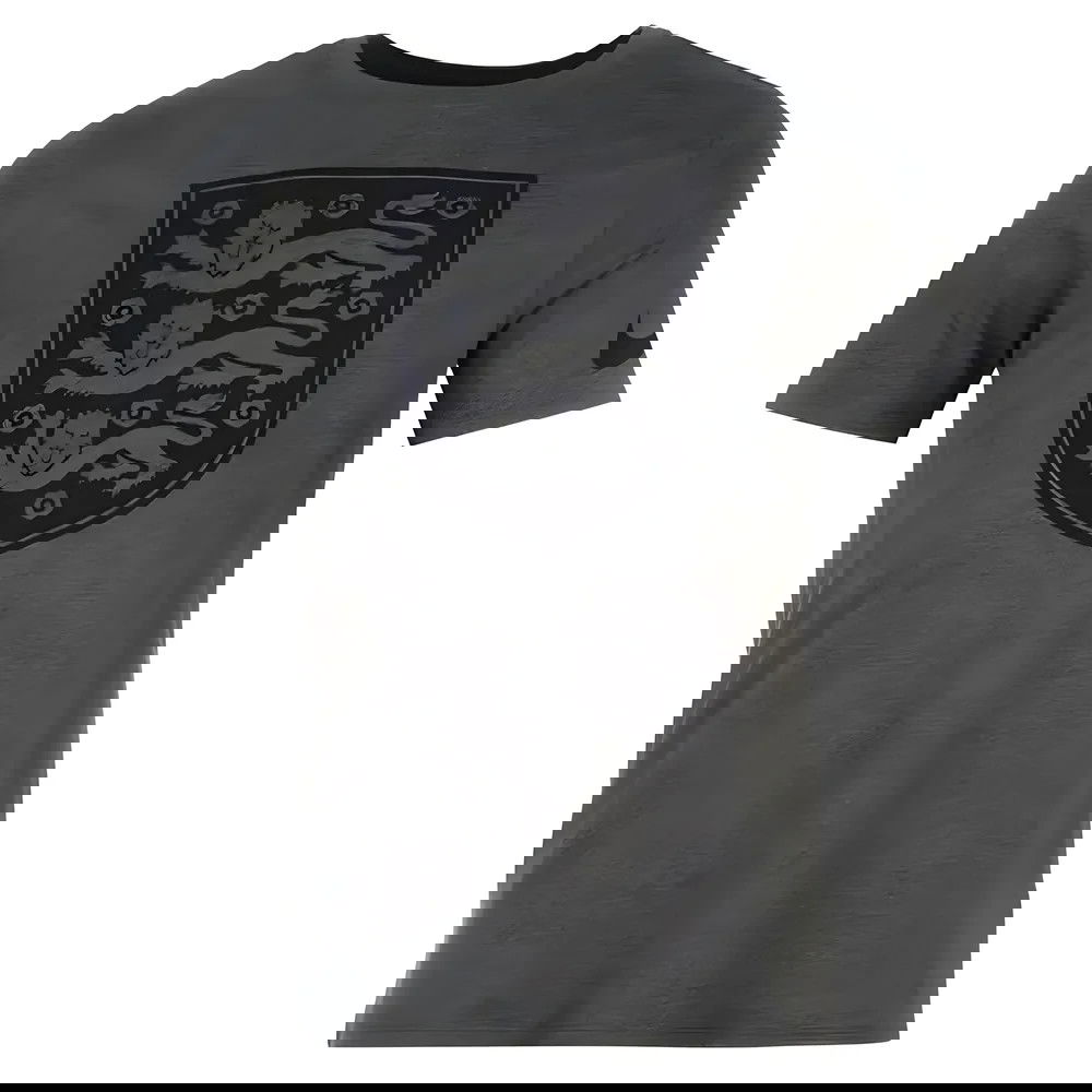 2016-2017 England Nike Crest Tee (Charcoal) - Kids