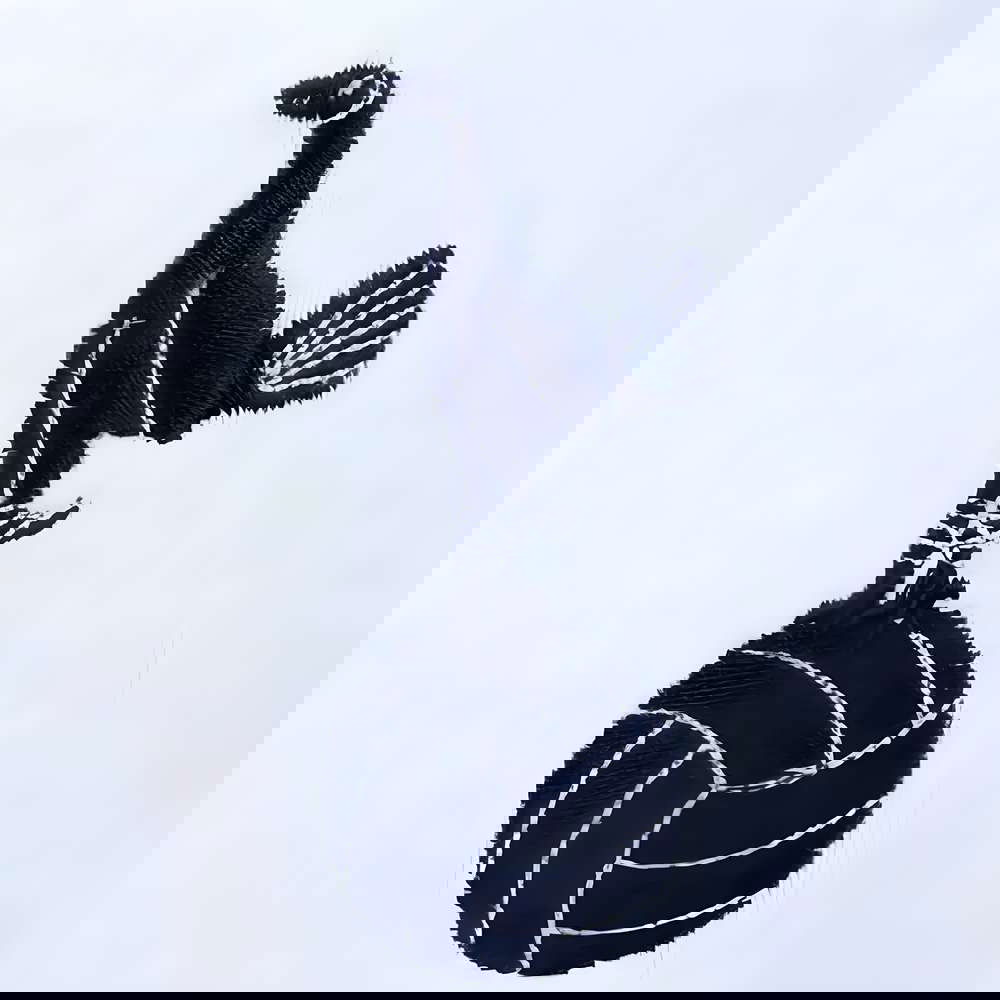 Tottenham 1970s Retro Football Shirt