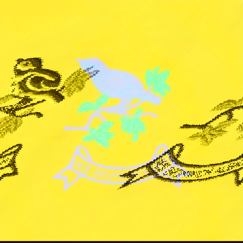 West Bromwich Albion 1960s Away Retro Football Shirt