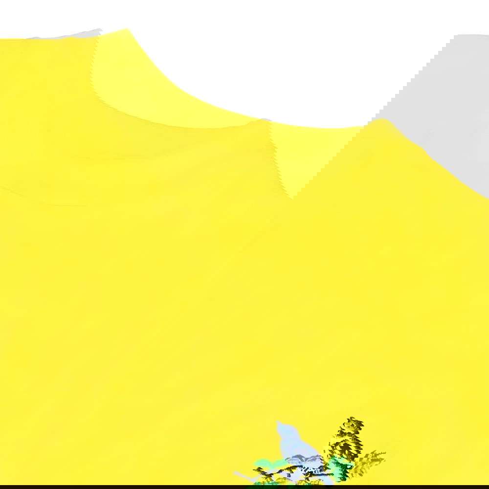 West Bromwich Albion 1960s Away Retro Football Shirt