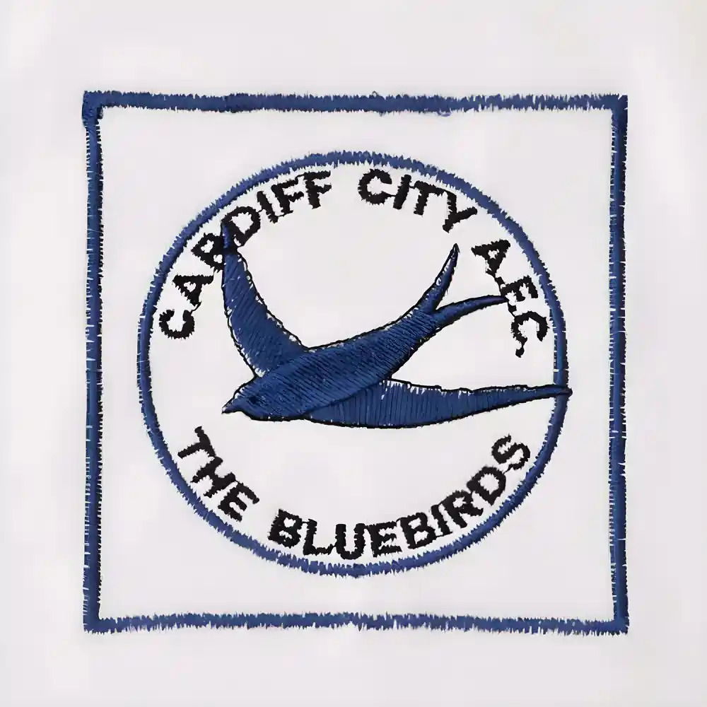 Cardiff City 1960s Away Retro Football Shirt