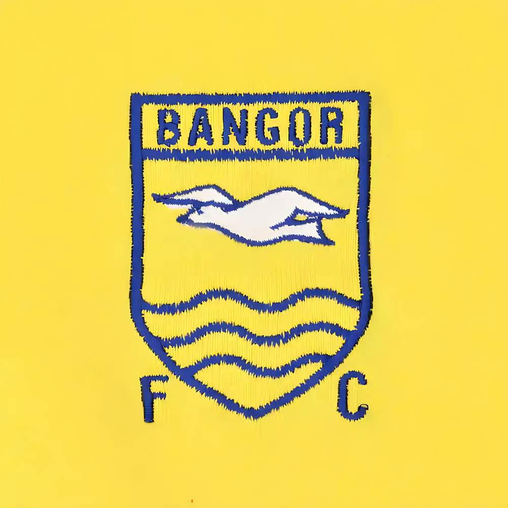 Bangor FC 1970s Retro Football Shirt