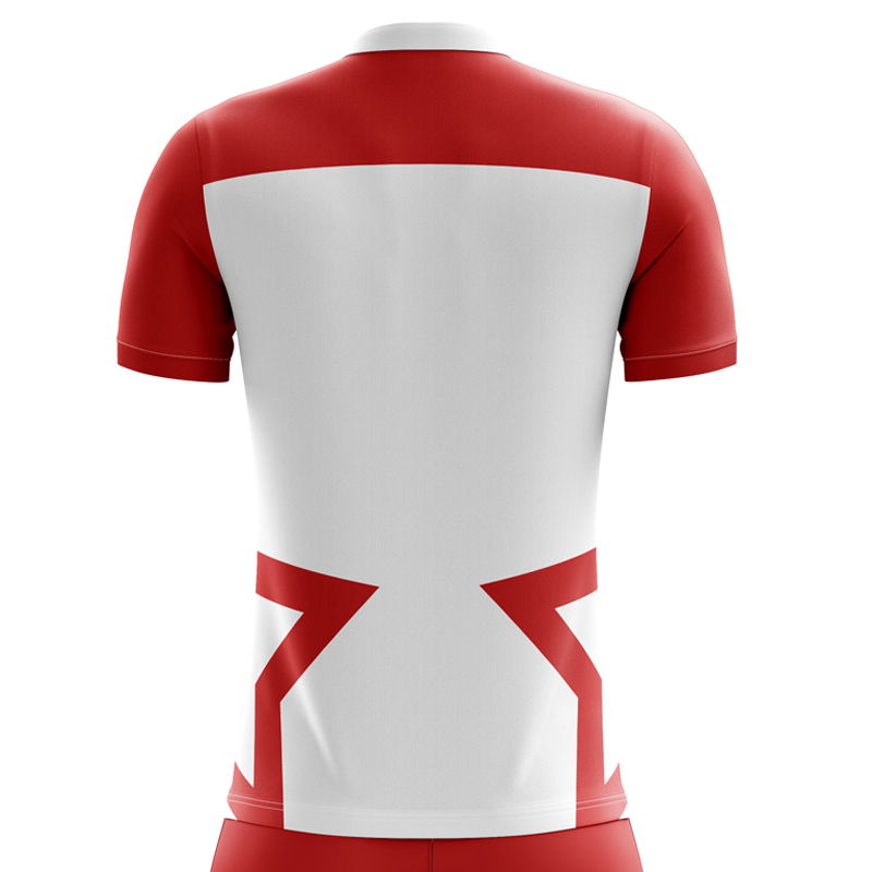 2025-2026 Tunisia Home Concept Football Shirt
