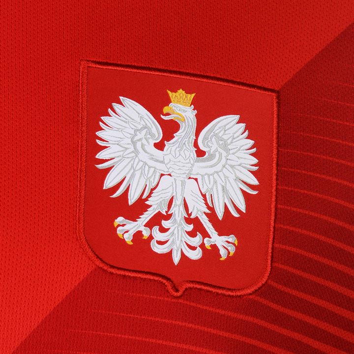 Resultado de imagen para poland football badge