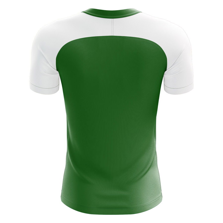 2025-2026 Nigeria Home Concept Football Shirt - Womens
