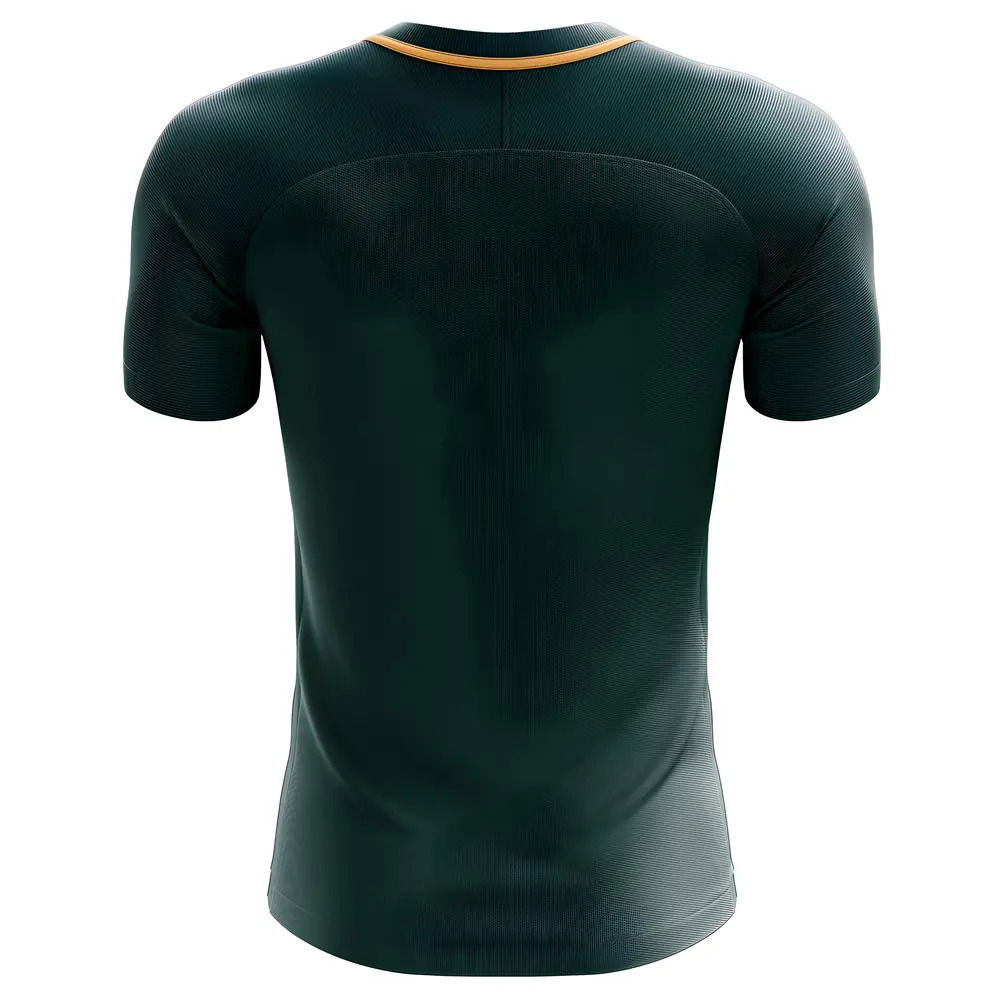 2025-2026 Nigeria Third Concept Football Shirt (Iheanacho 14)