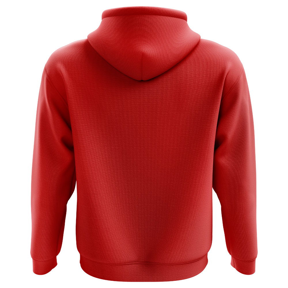 2025-2026 Denmark Home Concept Hoody (Kids)