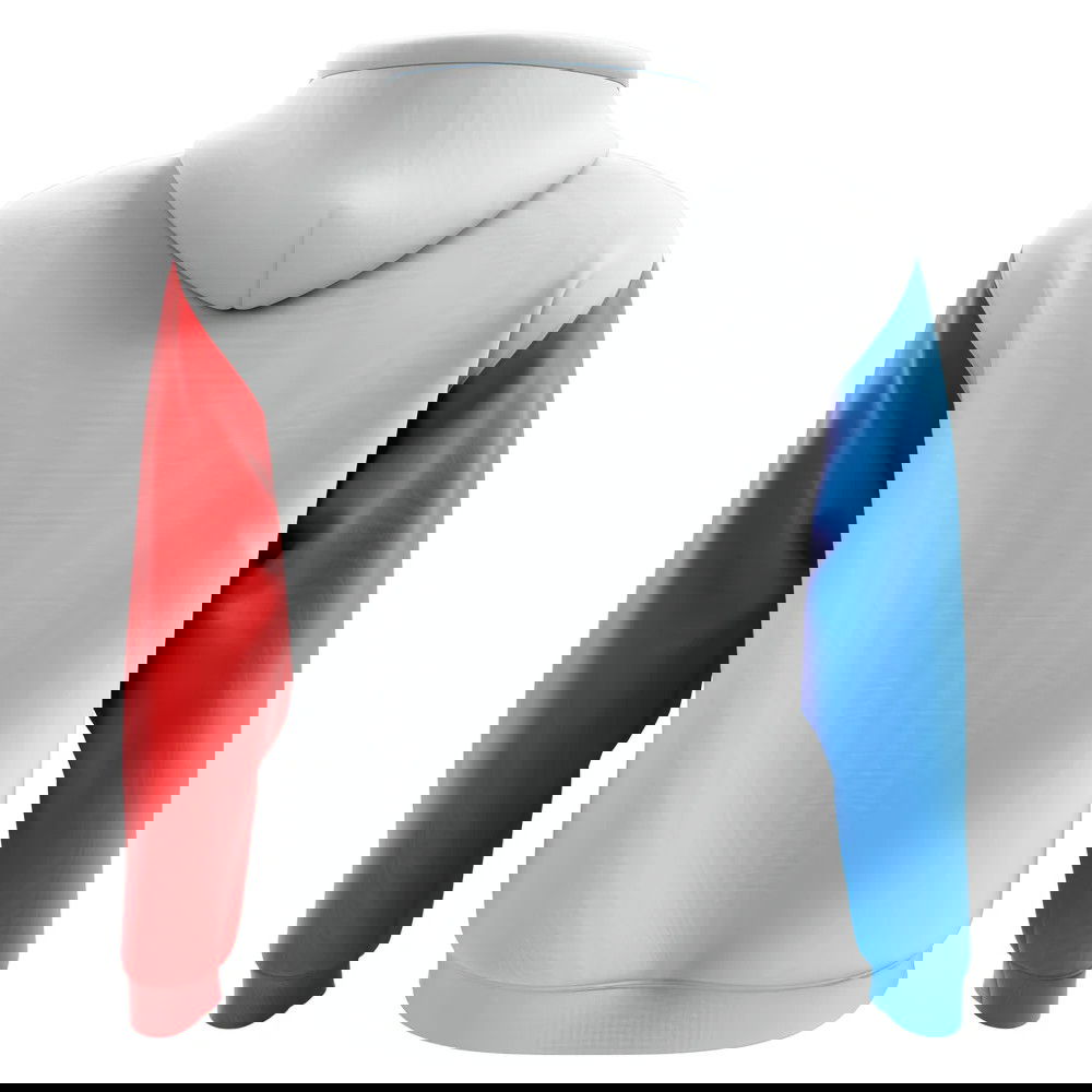 2025-2026 Panama Home Concept Football Hoody