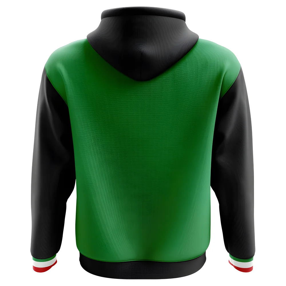 2025-2026 Mexico Home Concept Football Hoody (Kids)