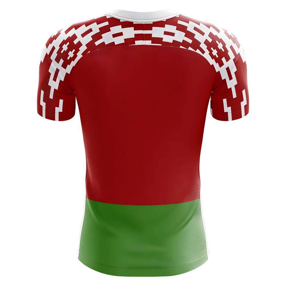 2025-2026 Belarus Home Concept Football Shirt