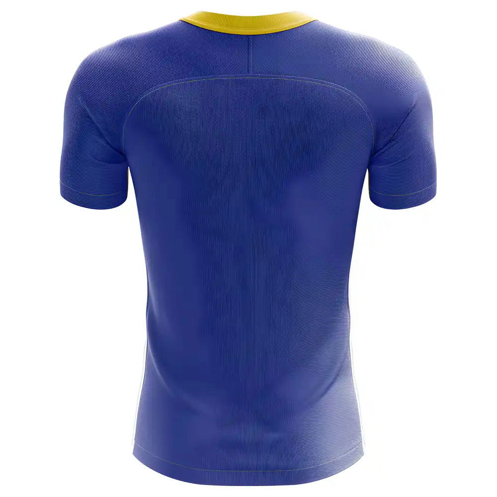 2025-2026 Swaziland Home Concept Football Shirt