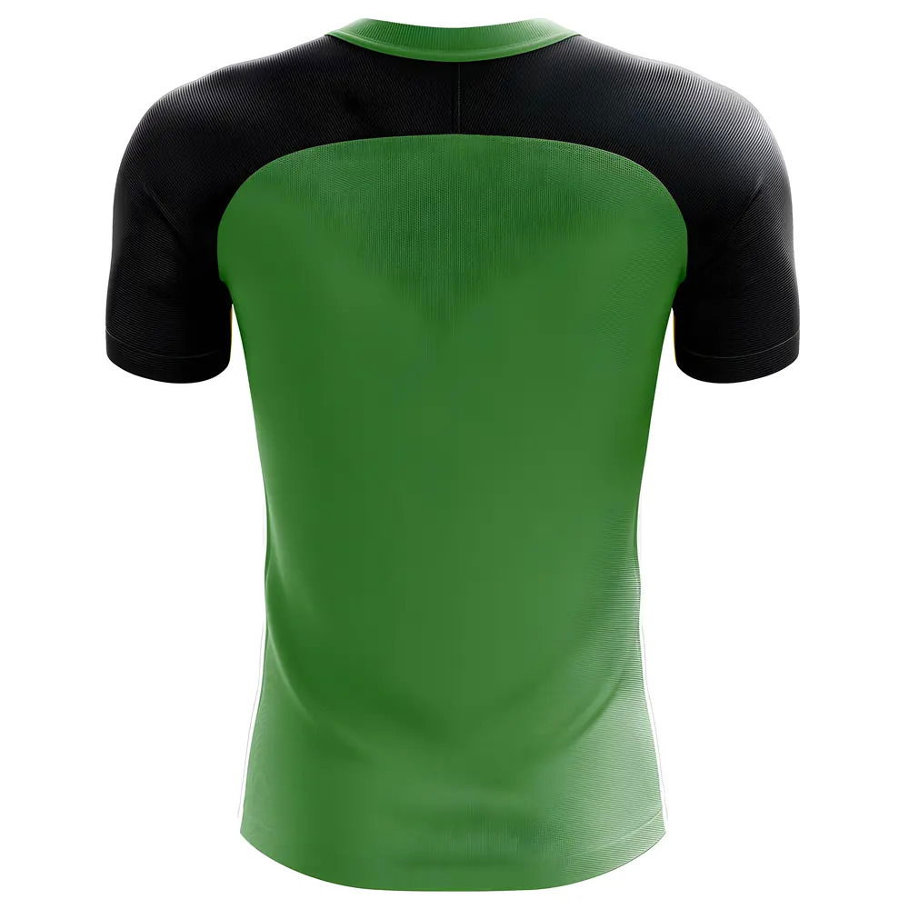 2025-2026 Tanzania Home Concept Football Shirt