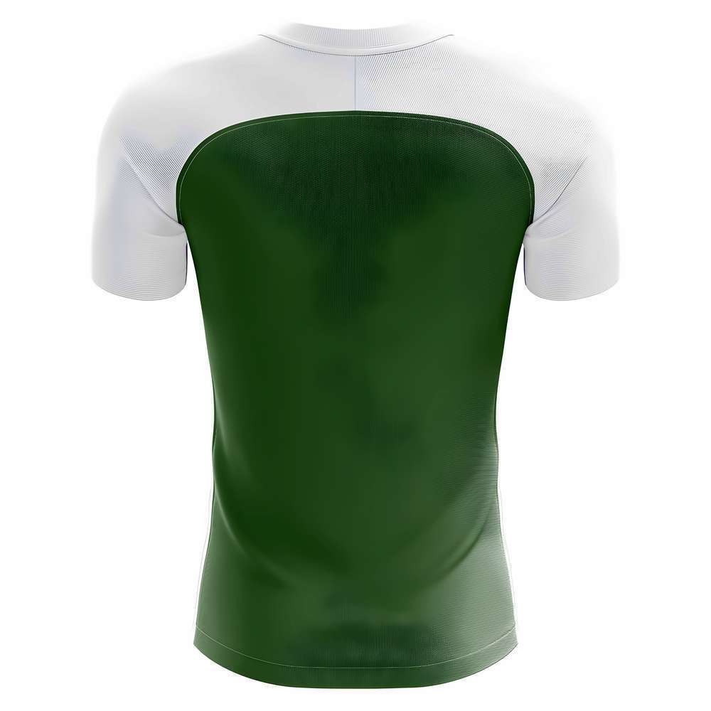 2025-2026 Pakistan Home Concept Football Shirt