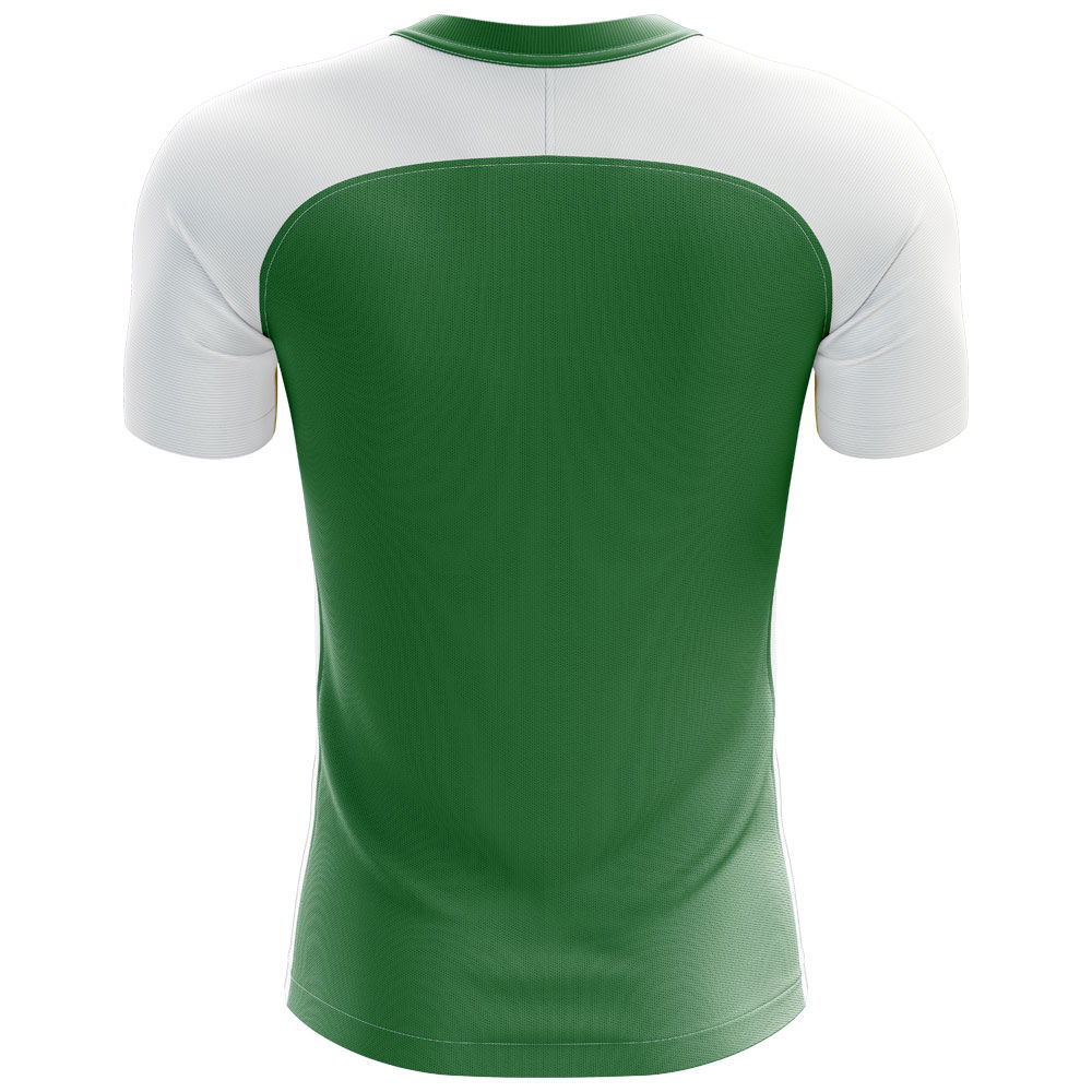 2025-2026 Nigeria Flag Home Concept Football Shirt - Womens
