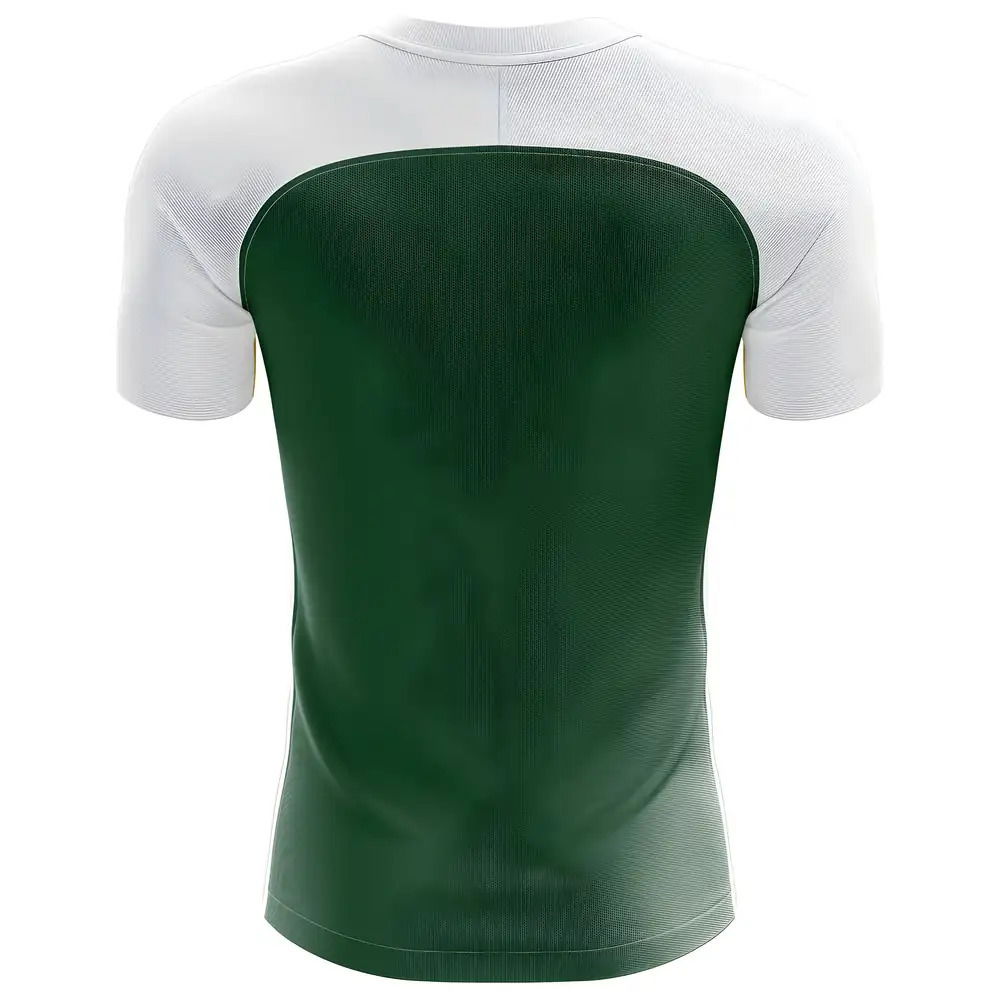 2025-2026 Mexico Flag Concept Football Shirt