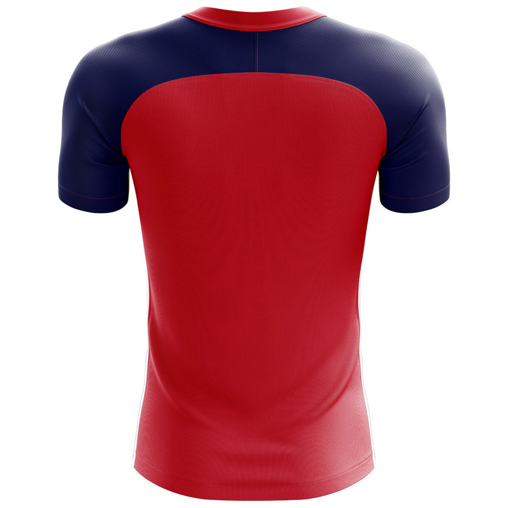 2025-2026 Norway Flag Concept Football Shirt (Kids)