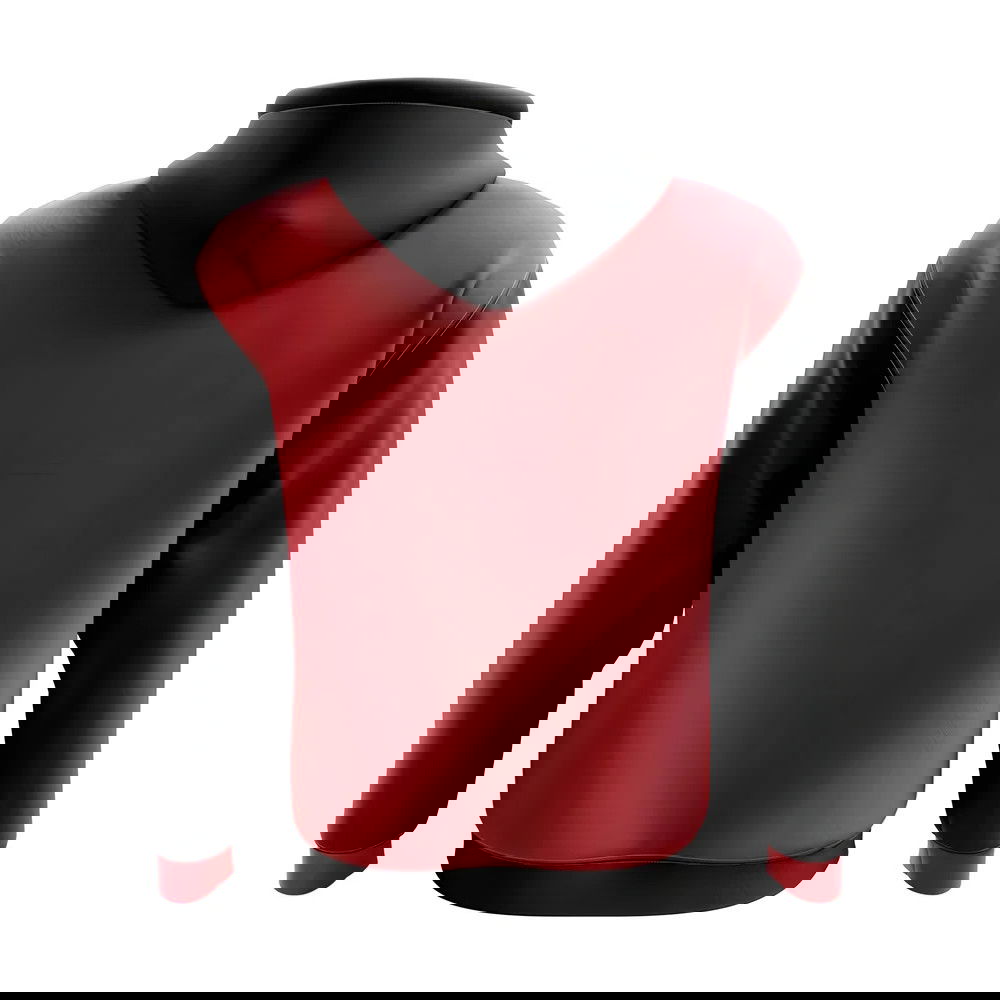 Albania Concept Country Football Hoody (Red)