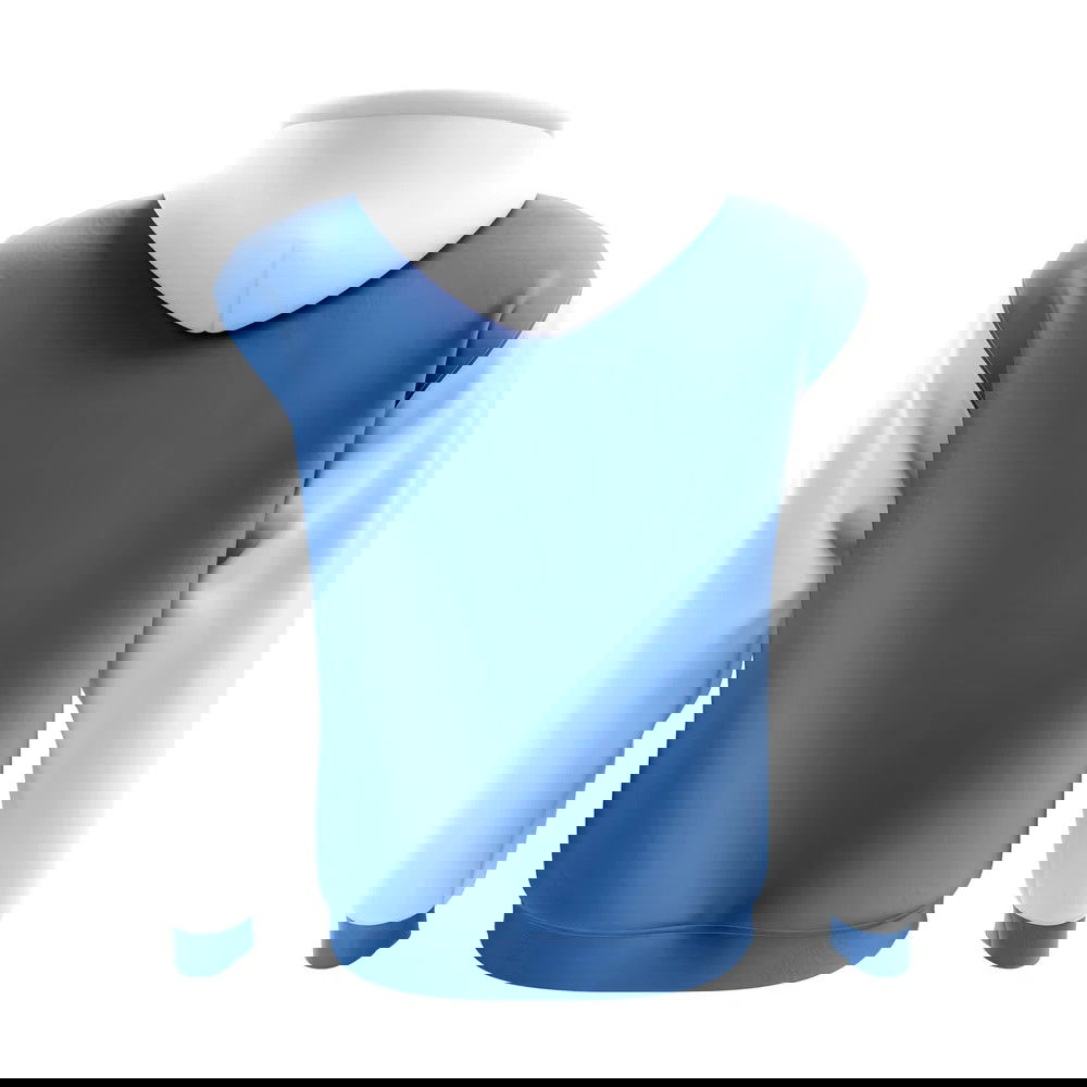 Altai Republic Concept Country Football Hoody (Blue)