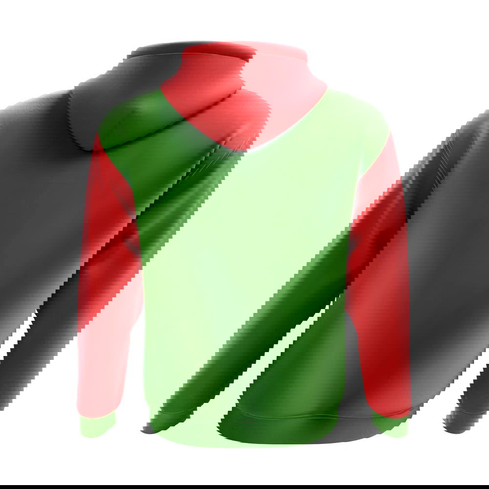 Chechnya Concept Country Football Hoody (Green)