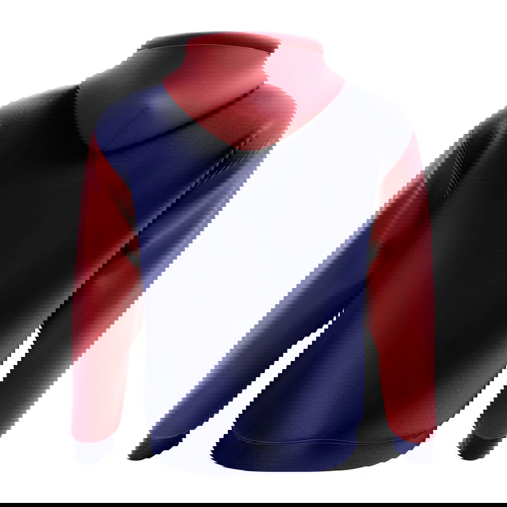 Liechtenstein Concept Country Football Hoody (Navy)