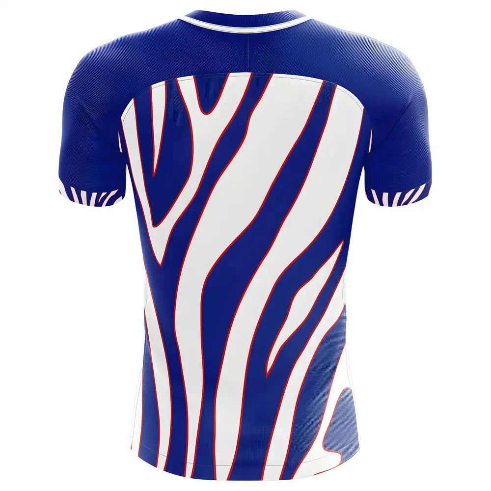 2018-2019 Yokohama Marinos Fans Culture Home Concept Shirt