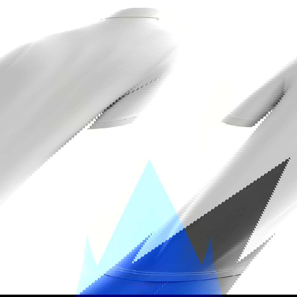 Sydney FC Established Football T-Shirt (Navy)