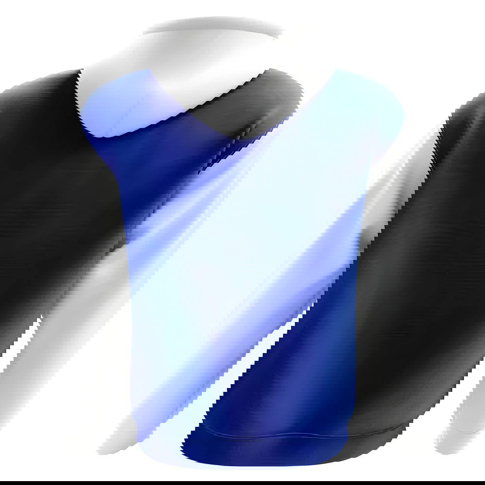 Sheffield Wednesday Concept Club Football Hoody (Blue)