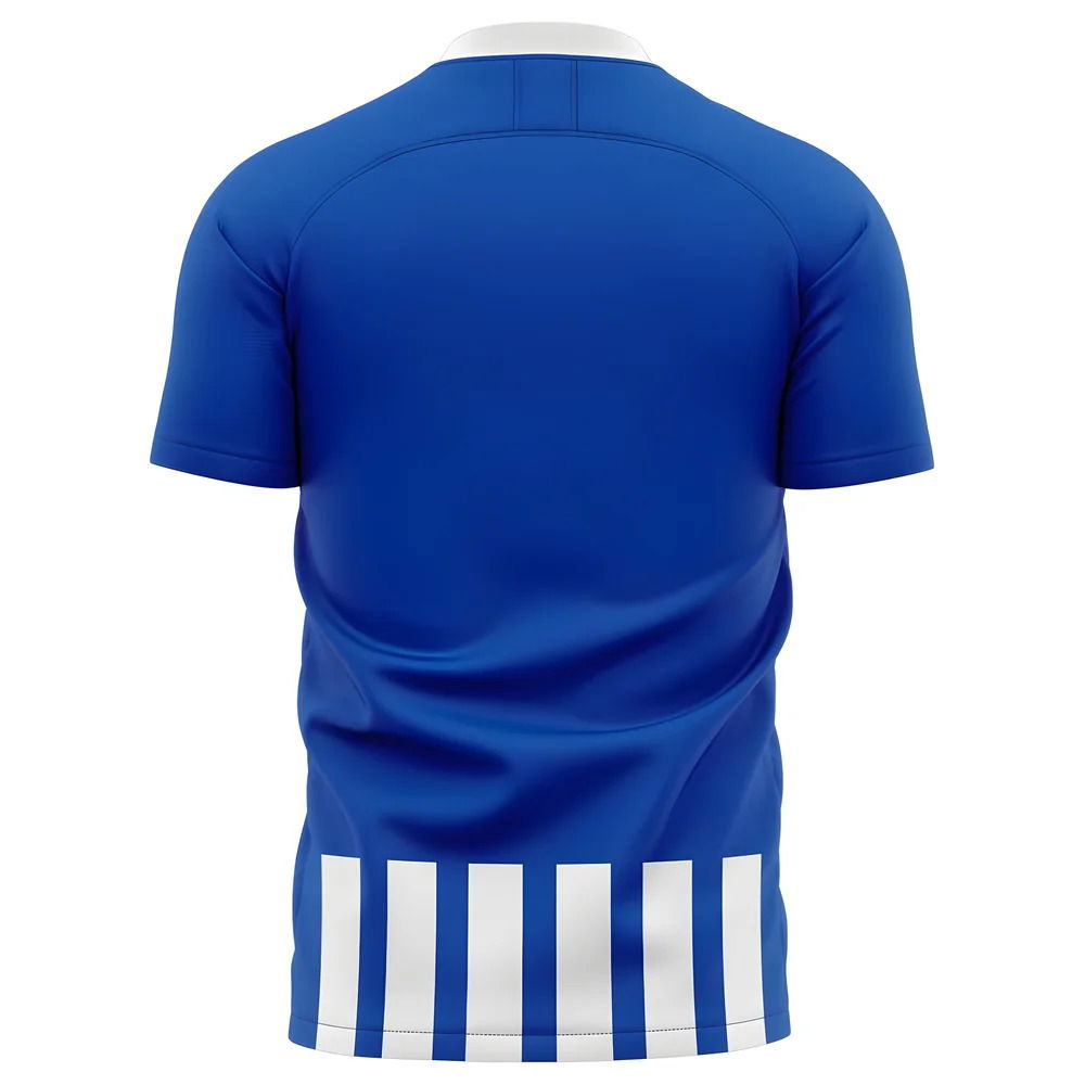 2025-2026 Heerenveen Home Concept Football Shirt - Kids (Long Sleeve)