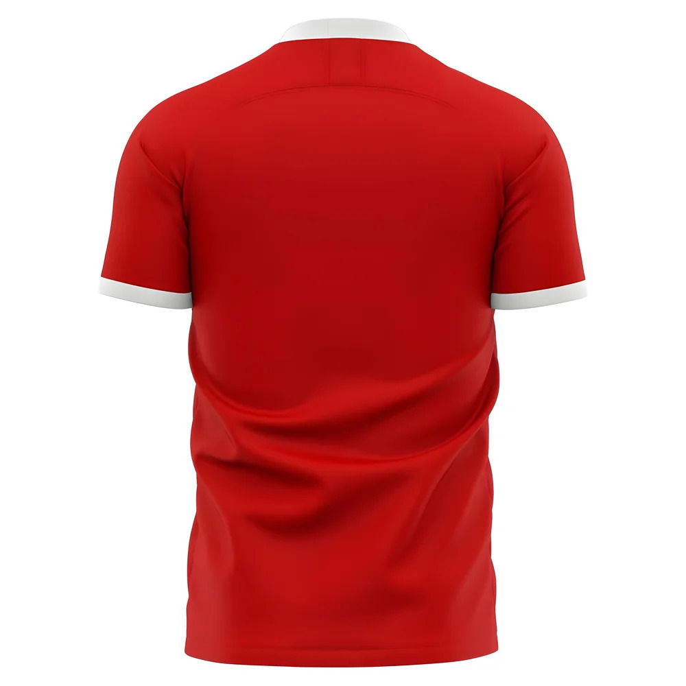2025-2026 Jahn Regensburg Home Concept Football Shirt