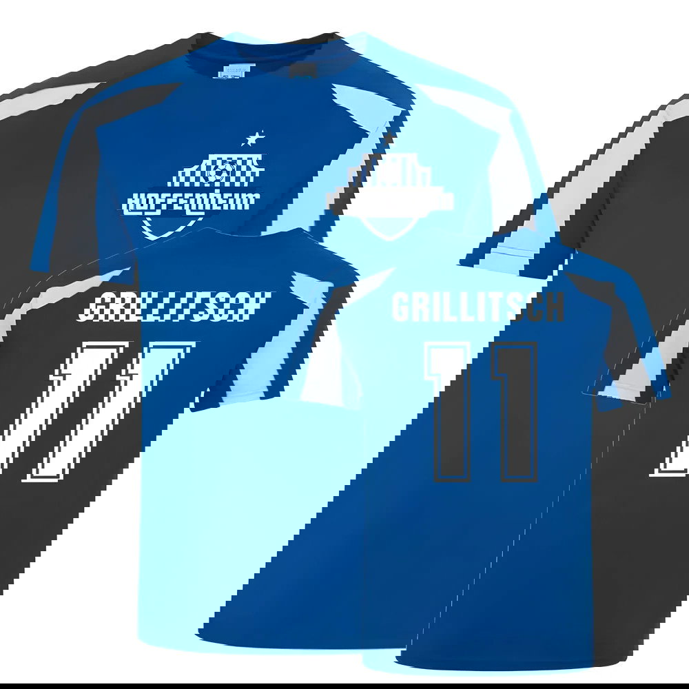 Florian Grillitsch Hoffenheim Sports Training Jersey (Blue)