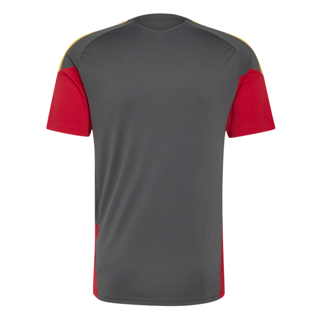 2026-2027 AS Roma Training Shirt (Grey)