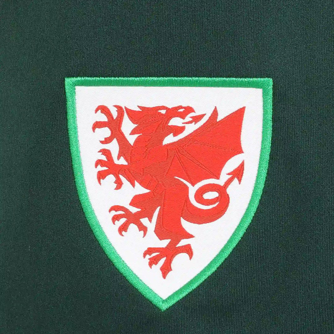 2026-2027 Wales Sudu Away Shorts (Green) - Kids
