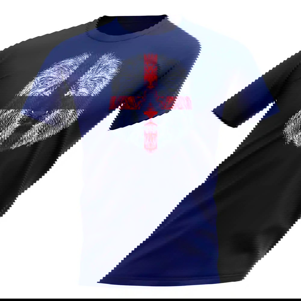 England Lion Flag T-Shirt (Navy)