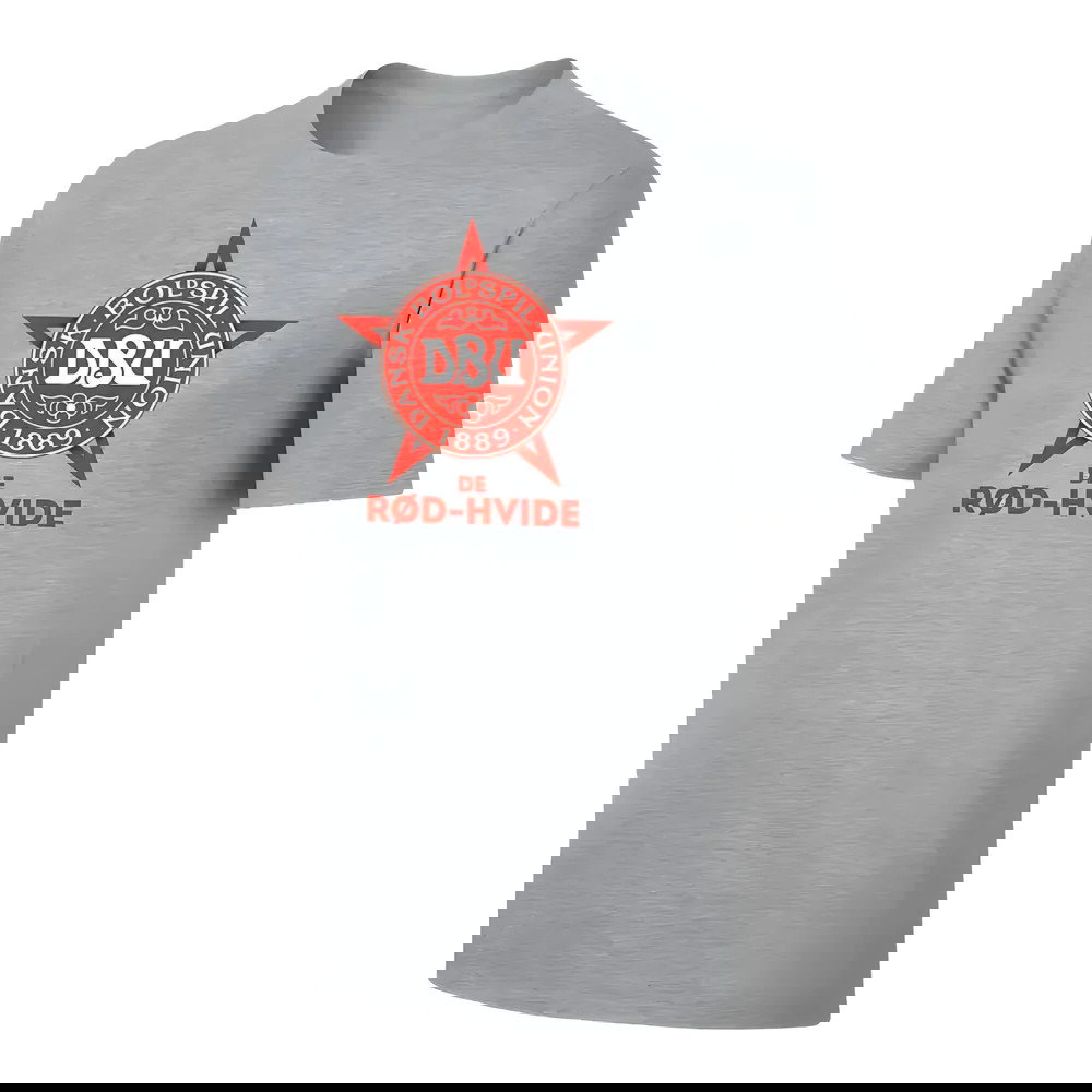 Denmark Euro 2020 T-Shirt - Grey