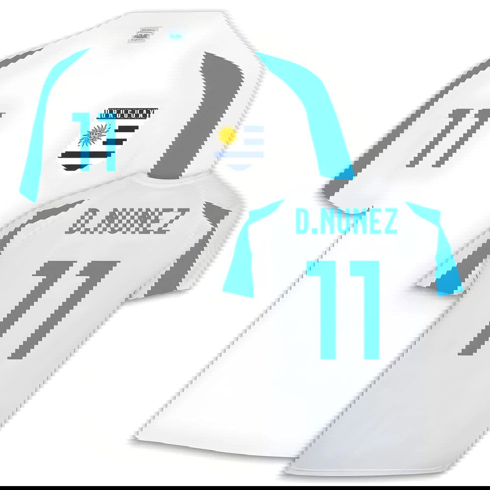 Uruguay Sports training Jersey (Darwin Nunez 11)