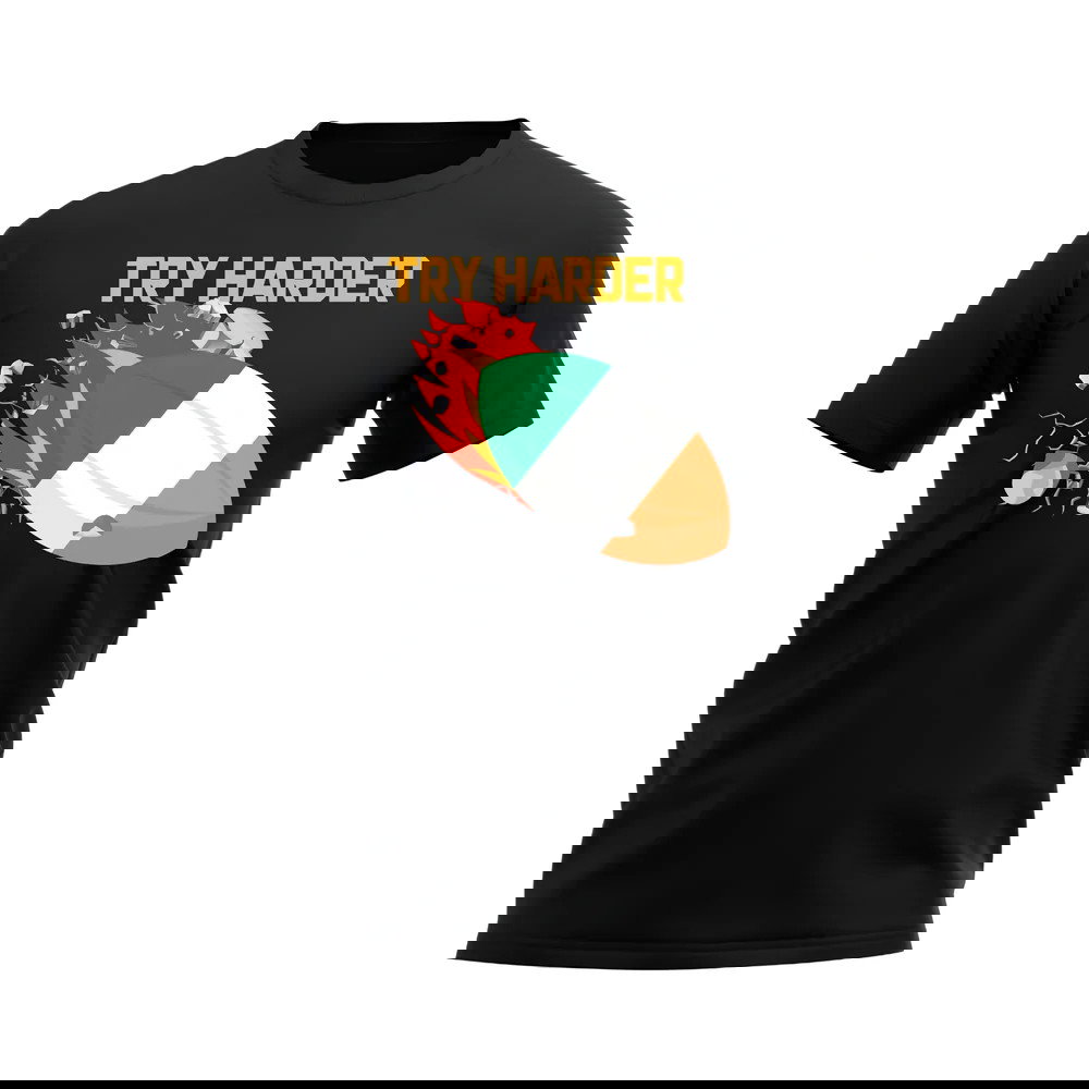 Ireland Try Harder Rugby T-Shirt (Black)