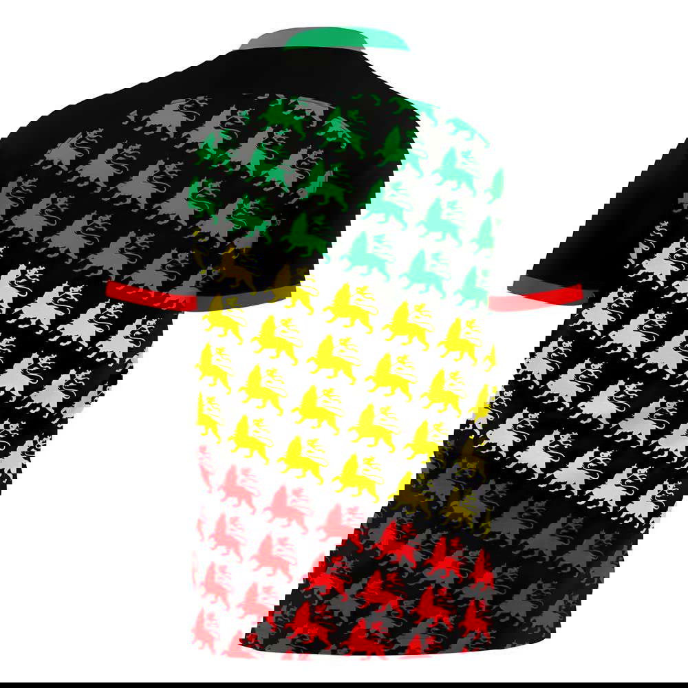  Ethiopia 2025-2026 Away Concept Football Kit (Libero)