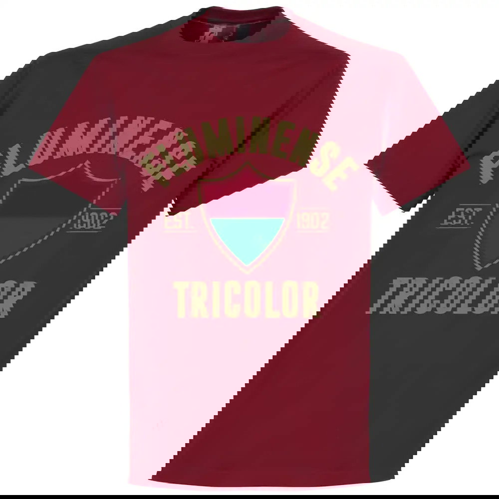 Fluminense Established T-Shirt - Chilli Red