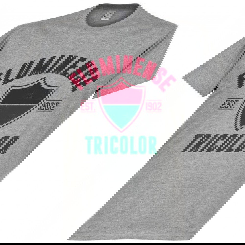 Fluminense Established T-Shirt - Grey