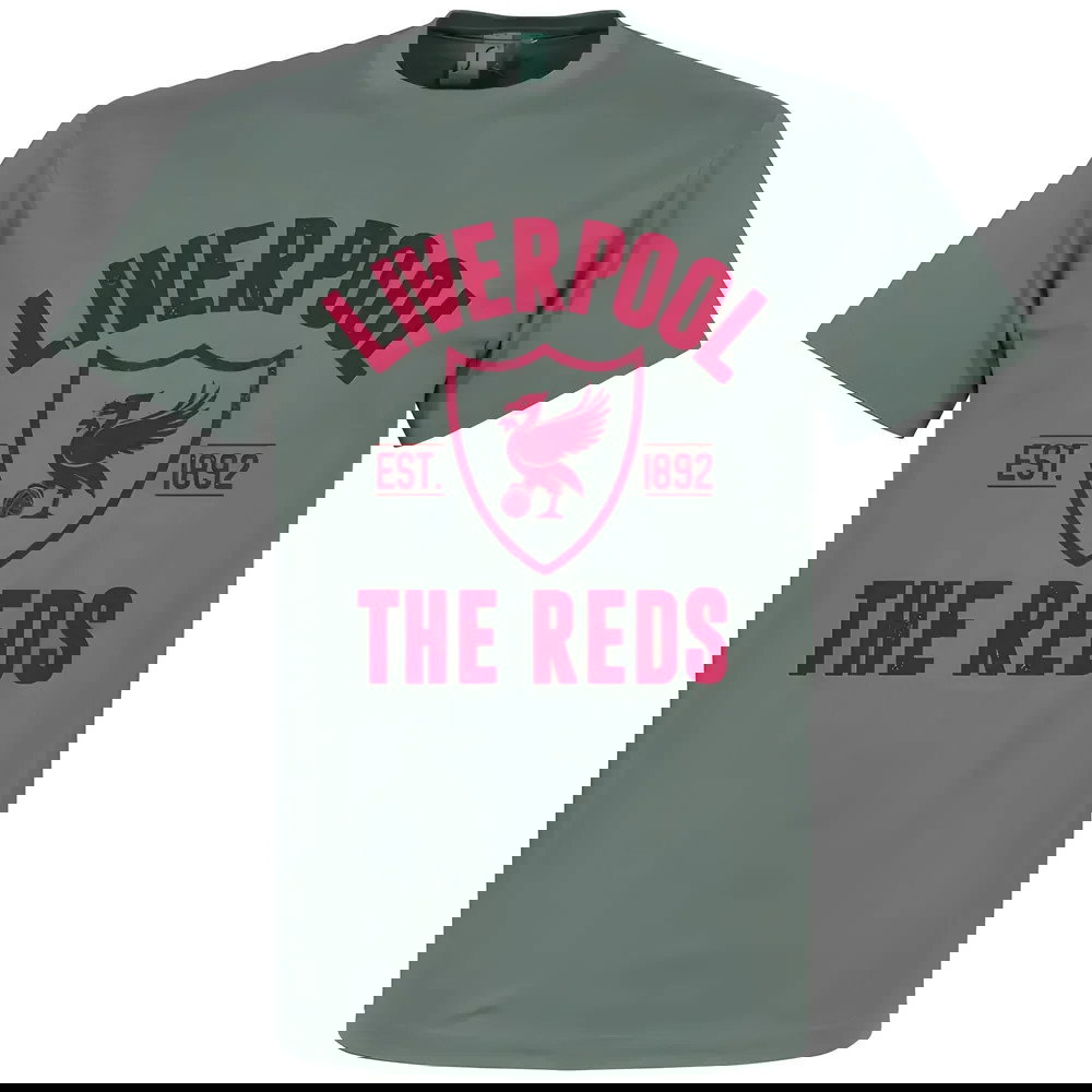 Liverpool Established T-Shirt - Zinc