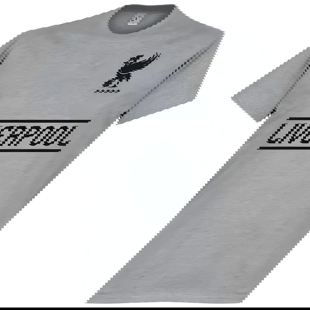Liverpool Team KIDS T-Shirt - Grey