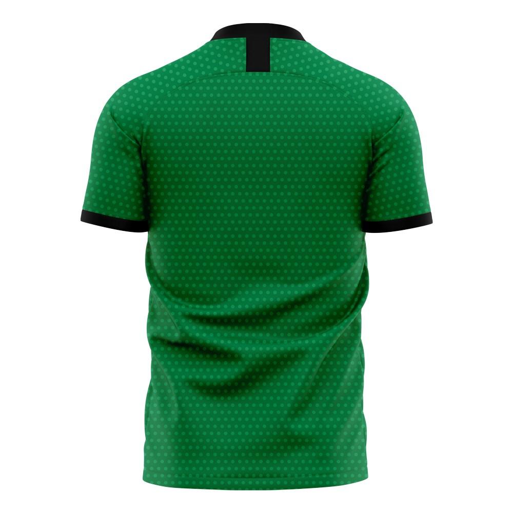 Nigeria 2025-2026 Home Concept Football Kit (Libero) (IWOBI 18)