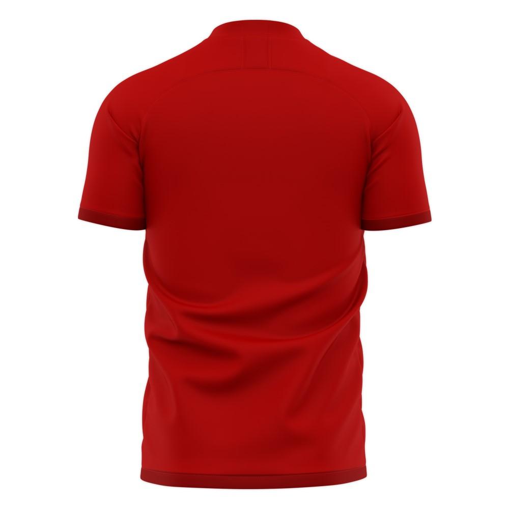 Nurnberg 2025-2026 Home Concept Football Kit (Libero)