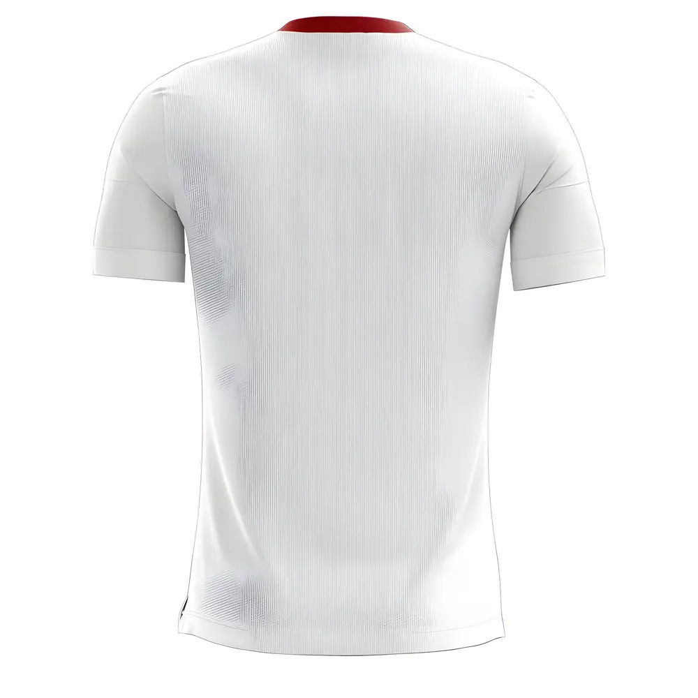 Torino 2025-2026 Away Concept Football Kit (Airo)