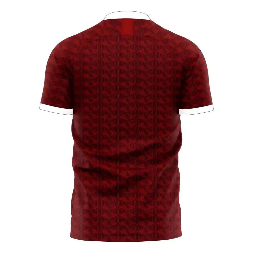 Torino 2025-2026 Home Concept Football Kit (Libero)