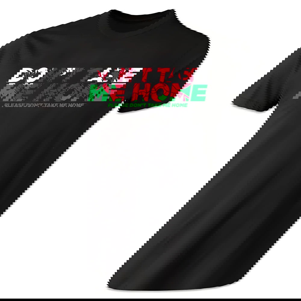 Dont Take Me Home - Wales T-Shirt (Black)