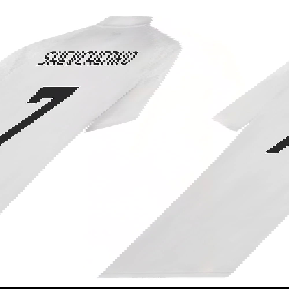 2023-2024 AC Milan Training Jersey (Grey) (Shevchenko 7)