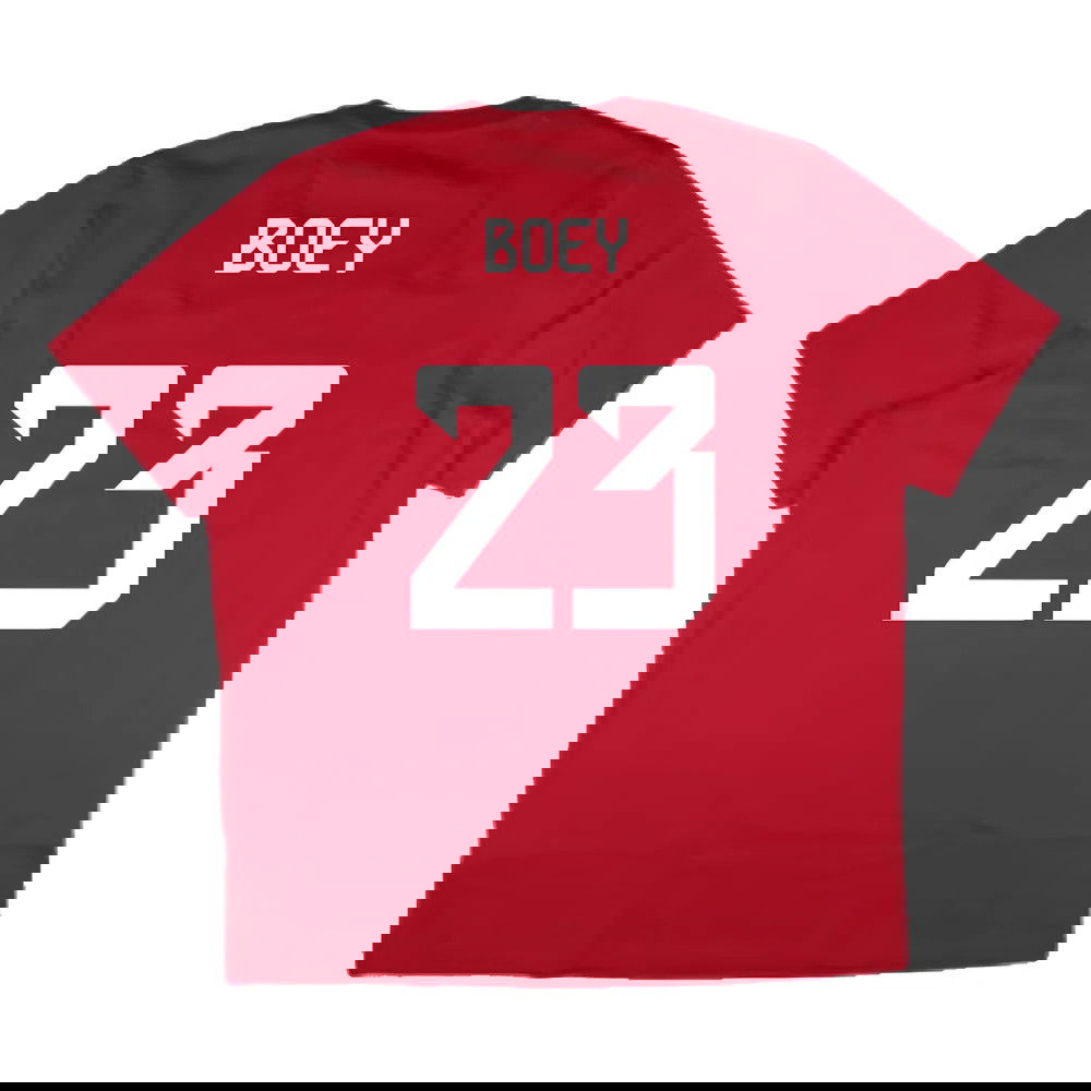 2024-2025 Bayern Munich DNA Graphic Tee (Red) (Boey 23)