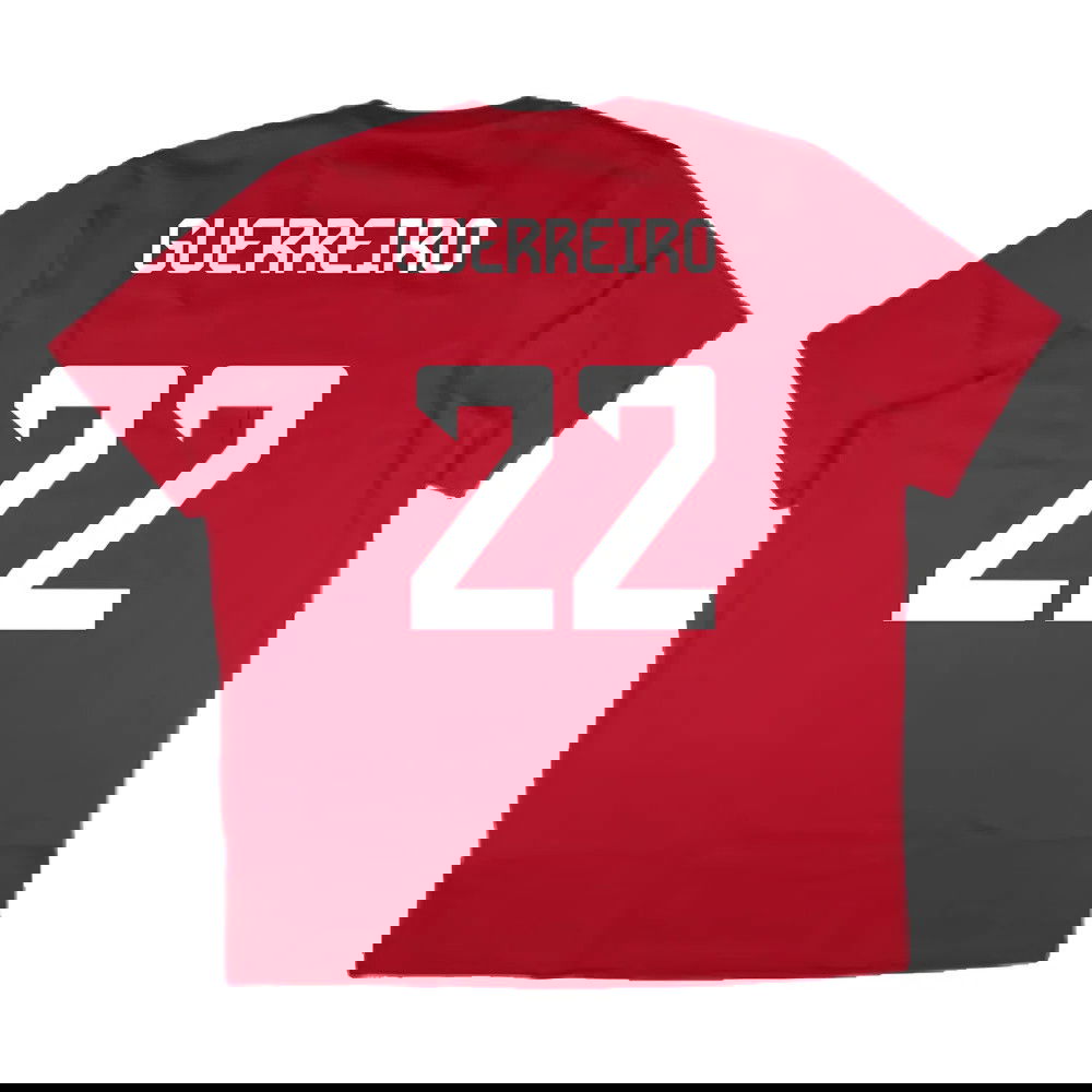 2024-2025 Bayern Munich DNA Graphic Tee (Red) (Guerreiro 22)